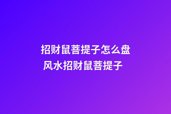 招财鼠菩提子怎么盘 风水招财鼠菩提子